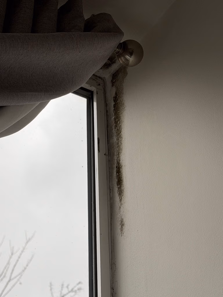 mould growth on windows in London flat